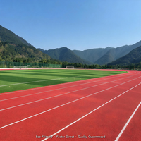 Piste d'athlétisme extérieure respirante à double couche en caoutchouc PU, approuvée IAAF, coût au mètre carré pour le campus des Philippines