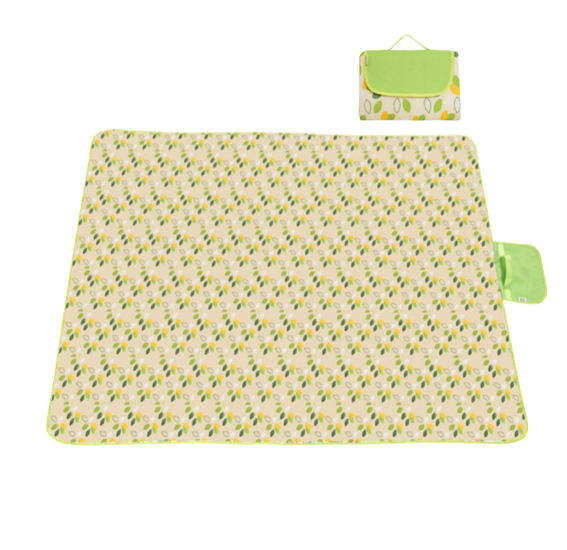 Custom Printed Recyclable Large Waterproof All Season Picnic Blanket Mat 2