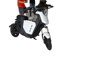 Bicicleta Eléctrica Rubri-FCB600 con Celdas de Almacenamiento Seguras Recién Lanzadas, Bicicleta Eléctrica Rubri-FCB600 con Celdas Seguras - Product Image 6
