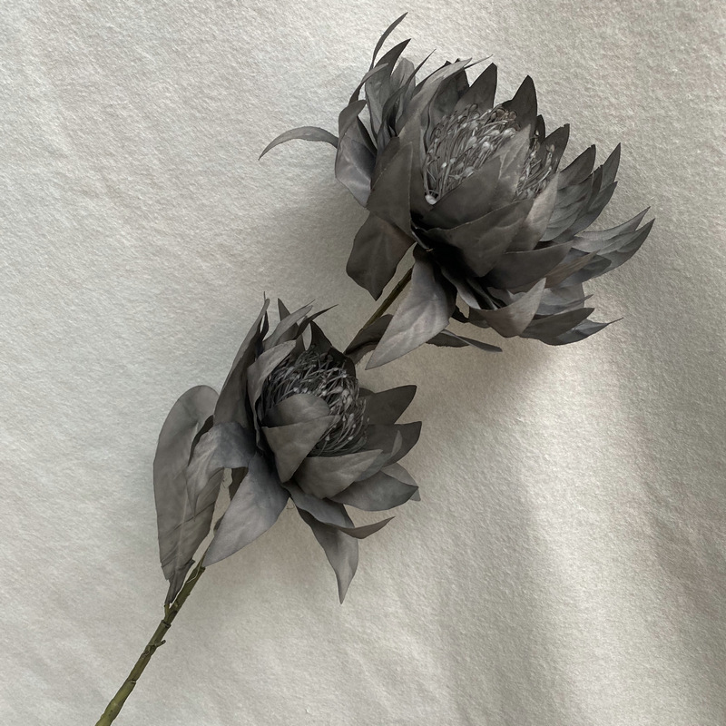 Gris