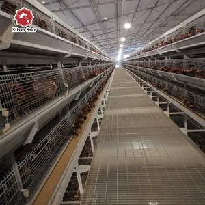 Nepal galvanizado automático de la batería de capas de huevo jaulas de pollo