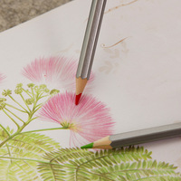12/18/24/couleurs boîte en fer blanc emballage artistes crayon de couleur ensemble haut trempage bois crayons de couleur