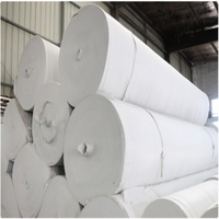 Fabricant de tissus géotextiles non tissés sur mesure pour la construction d'infrastructure, le contrôle de l'érosion et l'amélioration des sols