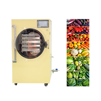 Huishoudelijke kleine vriesdroogmachine, draagbare voedselconserveringsapparatuur voor fruit, snoep, vlees, vacuümdrogen