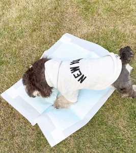 Tapis absorbants jetables pour chiens et animaux de compagnie – Idéaux pour chiots, chiens et chats, parfaits pour l'intérieur et les voyages - Product Image 3