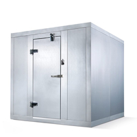 RUIXUE Conteneur solaire Cold Storage avec panneau et batterie Conservation Machines Chambre froide Cold Storage