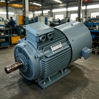 Éolienne verticale Enning synchrone 5 kW à aimant permanent, générateur alternatif silencieux hydroélectrique IP68