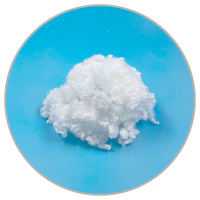 Fibre de silicone HCS vierge 3D 7D 15D 32mm 51mm 64mm pour le rembourrage de textiles de maison