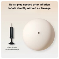 Ballon d'exercice rond personnalisé de 25 cm en PVC pour massage, yoga, Pilates, stabilité, équilibre et entraînement du tronc, avec pompe