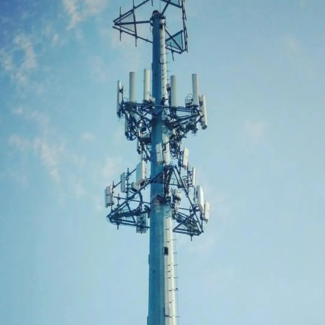 Made in China Monopole Telecom Tower com Flangle 12M 30M 45M 4g Espaço Telefone Acessórios Elegantes Superfície Quente galvanizado