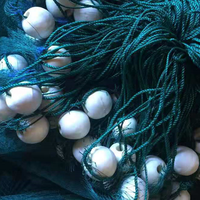 Filet de pêche tressé PE 100%, filet torsadé personnalisé, Type moulinet, pour pêche de ferme