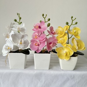 Planta Artificial en Maceta de Orquídea Phalaenopsis de 25 cm de Meiyu Craft Flower Factory, Decoración de Escritorio Ligera, Adorno para el Hogar - Product Image 2