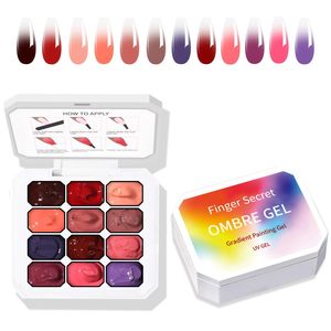 เจลทำเล็บแบบไล่สี 12 ช่องสี โอเบร เจลยูวีสำหรับทาเล็บ เจลไล่เฉดสีแบบด้าน ความอิ่มตัวสูง สำหรับร้านทำเล็บและใช้เองที่บ้าน - Product Image 2