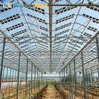 Toit latéral de serre agricole multi-chapelles en acier galvanisé à chaud avec couverture en verre trempé transparent