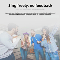 Processeur numérique professionnel 2 entrées 2 sorties en métal pour scène, anti-Feedback audio, suppression des microphobies pour conférences et discours