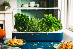 Vendita calda della Smart Garden 9 edizione limitata che rivoluziona <span class=keywords><strong>il</strong></span> tuo giardinaggio con tecnologia all'avanguardia - Product Image 3