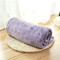 Couverture pour animaux de compagnie en polaire corail toutes saisons, pliable et portable, douce, respirante, respectueuse de l'environnement, pour chats, chiens, petits animaux