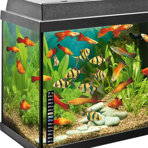 Autocollant d'aquarium gonflable à prix bas, étiquette personnalisée, bandes de cristal liquide, thermomètre - Product Image 2