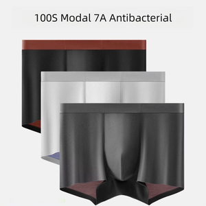 Boxers pour hommes en modal 100s, sans couture, tailles <span class=keywords><strong>L</strong></span>-4XL, entrejambe en soie, sous-vêtements premium en une seule pièce - Product Image 2
