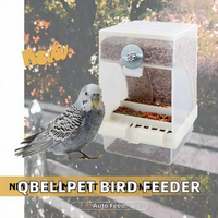 Mangeoire automatique suspendue en plastique acrylique moderne pour oiseaux, écologique, capacité 500g, pour perroquets, ara et petits animaux