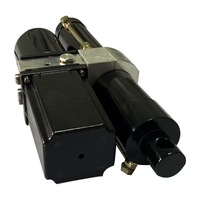 Cylindre électrique étanche de 2,5 tonnes, DC220V/12V/24V/48V, actionneur hydraulique télescopique électrique