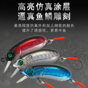 Señuelo de Pesca Minnow, Hundimiento Lento, 50mm, Anzuelo Simple, Cebo Artificial para Agua Dulce, Diseño Biomimético - Product Image 5