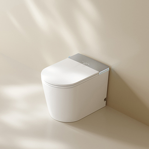 S024 Smart <strong>Toilet</strong> Auto Open/Close Heated Seat Instant Warm Water Dryer Modern Elongated Bidet Intelligent One Piece <strong>Toilet</strong> - Product Image 5