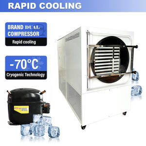 Máquina de Secado por Congelación de Alimentos de Uso Industrial, 18 Bandejas, 5m2 -70, 60-70kg, para Frutas, Verduras, Manzana, Aguacate, Plátano y Carambola - Product Image 4