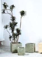 Pot de fleurs en MgO de style nordique vert simple, grand diamètre, design carré personnalisé, pot à plantes Black Diamond pour Schefflera Arboricola