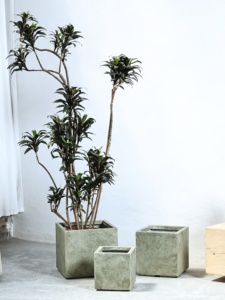 Maceta Simple de Estilo Nórdico Verde, Fabricada con MgO, de Gran Diámetro, Diseño Cuadrado Personalizado, Color Negro Diamante, para Schefflera <span class=keywords><strong>Arboricola</strong></span> - Product Image 2