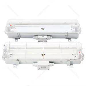 بيع بالجملة أنبوب 2x20W <span class=keywords><strong>T8</strong></span> مصباح مقاوم للماء تركيب أضواء قلادة الفلورسنت البحرية مع حارس - Product Image 2