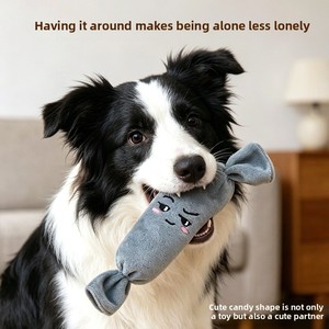 Jouets pour chiens, pour le nettoyage des dents, en peluche sonore, pour chiot, divertissement autonome, interactifs, fournitures pour animaux de compagnie, émoticônes, bonbons - Product Image 1