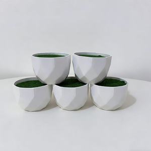 Pots à fleurs en plastique Paulon 6,5 cm, modèle Diamond Basin blanc, pour décorations de bureau, jardinières écologiques - Product Image 1