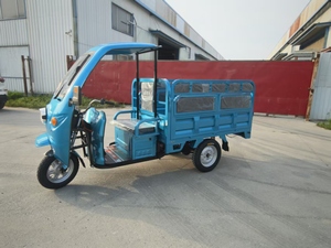 <span class=keywords><strong>Tricycle</strong></span> électrique écologique le plus vendu, capable de transporter des marchandises et de transporter des passagers - Product Image 2