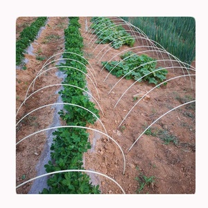 Greenhouse FRP Shed Poles Fiberglass Tunnel Frame Fiberglass <b>Rods</b> - Product Image 1