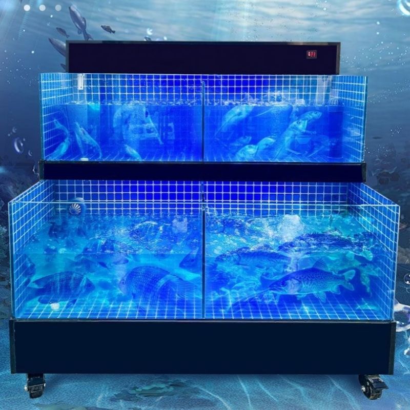 Two layer fish tank luxury model (with cooling)