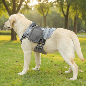 Fabricante OEM/ODM: Atacado de Coleiras Sólidas Grandes para Cães com Bolsa - Product Image 1
