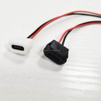 Conector USB Tipo C de 2 Pines a Prueba de Agua con Hebilla para Tarjeta PH2.0, Puerto de Carga de Alta Corriente, Enchufe de Carga USB-C