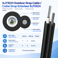 Câble de branchement FTTH extérieur G657A2 LSZH avec fil d'acier pour accès aérien aux bâtiments - Fabricant