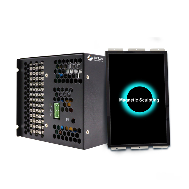 LZY Laser  Power Supply Portable 2 Handle RF Apparatus for Home Use
