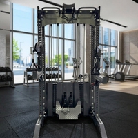 Equipo de Gimnasio Multifuncional con Polea para Ejercicios de Dorsal y Máquina de Carga por Pin para Cable Cruzado