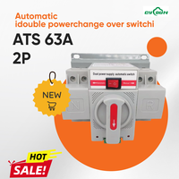 Commutateur de Transfert Automatique ATS 2P 63A 220V/Disjoncteur Micro Double Alimentation ATS 63A 220V Automatique