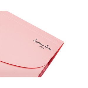 Carpeta de archivos expansible de bolsillo tamaño <span class=keywords><strong>A4</strong></span> personalizable, material PP, organizador de papelería de oficina, productos de archivo de acordeón en expansión - Product Image 5