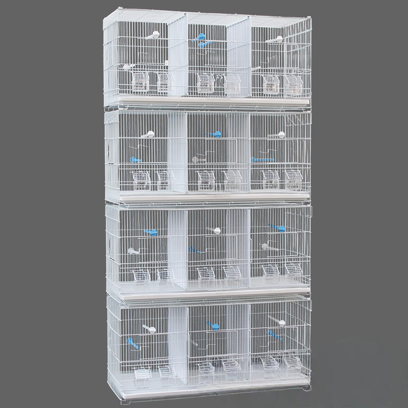 Bird-Cage-Supplies-Large-Bird-