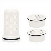 Filtre de remplacement pour pichet à eau, compatible avec les systèmes de distribution et de filtration domestiques, réduit le goût et l'odeur du chlore