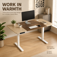 AOR Board Design, Bureau assis-debout silencieux pour la maison, ergonomique pour l'apprentissage, bureau de travail, couleur personnalisable, vente en gros usine