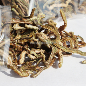 Sống Thu Hút Chất Lượng Cao Tùy Chỉnh Nước Ngọt Câu Cá Vàng Khô Tôm Lugworm Cá Mồi Cho Câu Cá Trung Chuyển Sống Mồi - Product Image 2