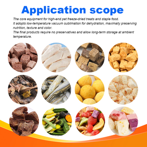 Pengering Beku Vakum Makanan Hewan Peliharaan dari Baja Tahan Karat 304 Bersertifikat CE untuk Daging Ayam, Sapi, Bebek, Salmon - Product Image 2