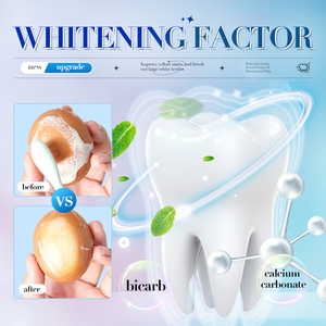 Poudre dentifrice blanchissante SADOER OEM ODM à la menthe pour un nettoyage en profondeur, élimine les taches et rafraîchit l'haleine, pour usage domestique - Product Image 5