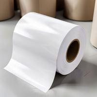 Ruban adhésif Jinya 80u en polyester acrylique blanc brillant pour jet d'encre, activé à l'eau, thermofusible, imperméable, personnalisable, découpe sur mesure